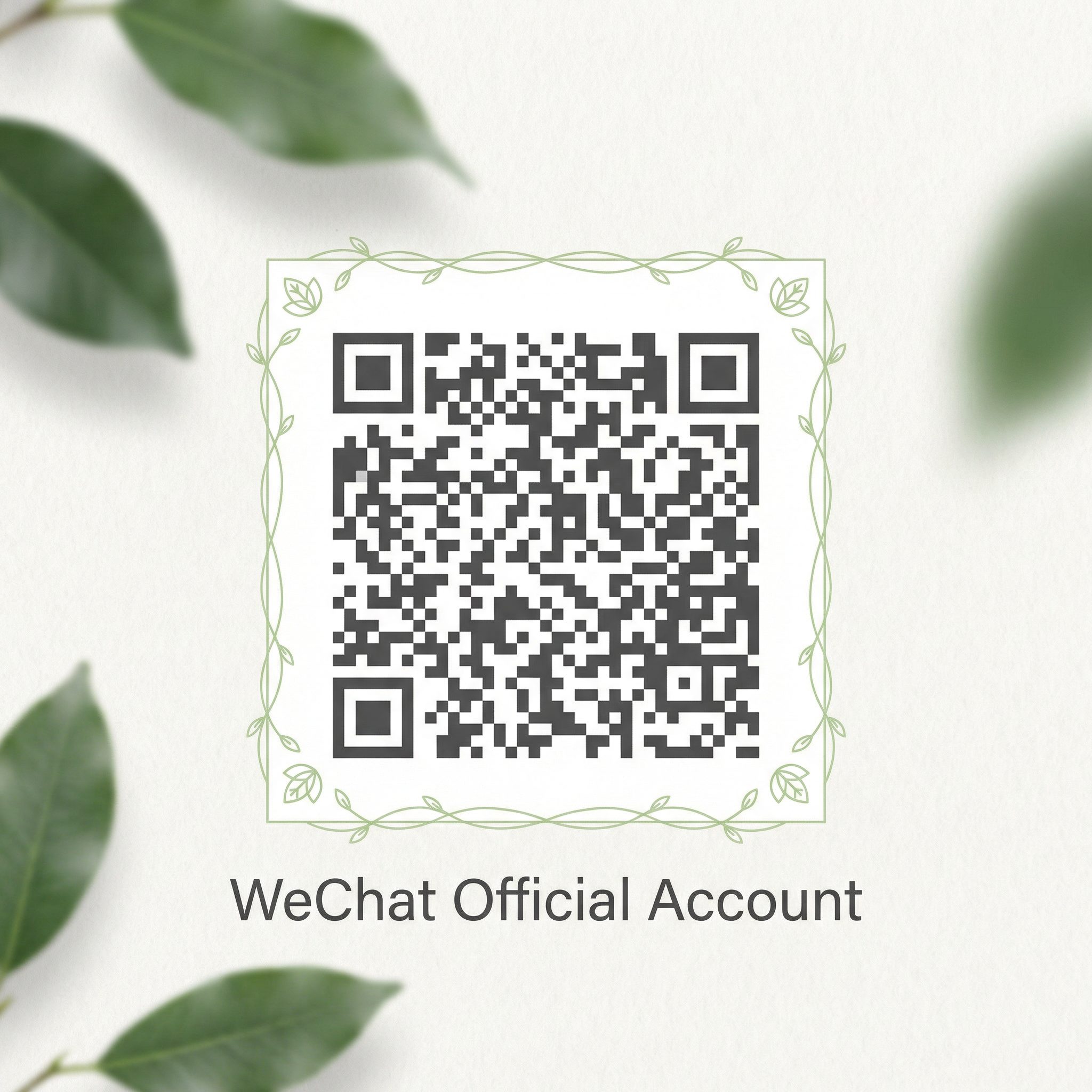 肉视频公众号二维码